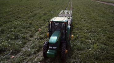 农业拖拉机满载西瓜视频素材