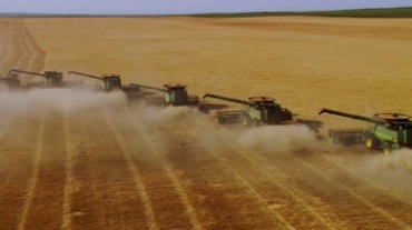 外国农场收割机排成排收割粮食视频素材