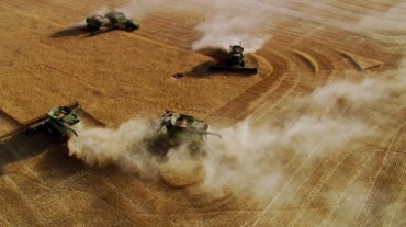 农业机械收割麦田，机械化作业视频素材