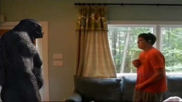 猩猩闯入房间视频素材