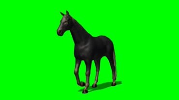 黑马绿幕抠像特效视频素材