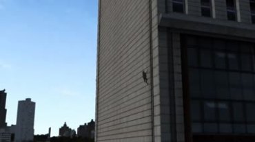 青蛙爬高楼自杀视频素材