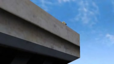 青蛙爬高楼自杀视频素材