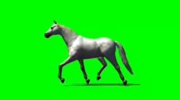 骏马奔跑优美身姿绿幕抠像视频素材