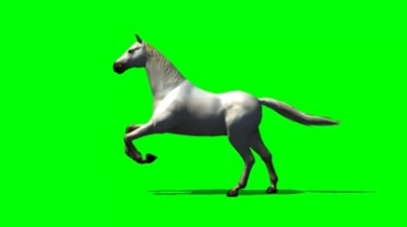 骏马奔跑优美身姿绿幕抠像视频素材