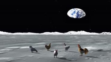 太空月球鸡高清视频素材