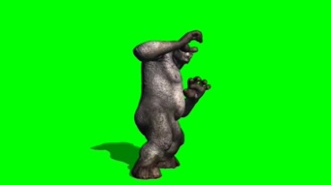 大猩猩被攻击时的防守应急反应绿屏抠像特效视频素材