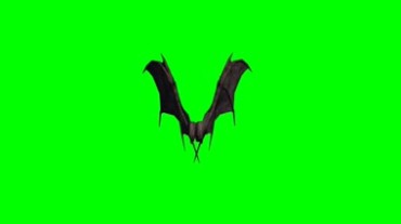 黑蝙蝠翅膀展开绿屏抠像特效视频素材