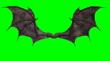 黑蝙蝠翅膀展开绿屏抠像特效视频素材