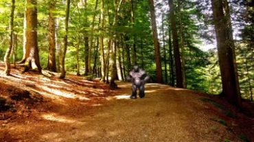 黑金刚猩猩直立奔跑Led视频素材