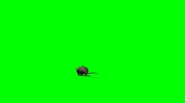 老鼠绿屏抠像特效视频素材