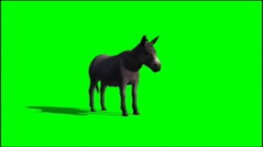 毛驴绿屏抠像特效视频素材