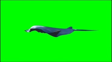 蝙蝠鱼游行绿屏抠像特效视频素材