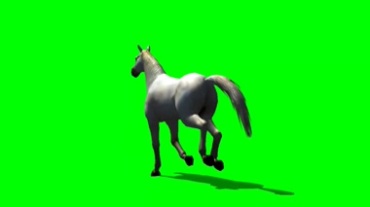 骏马奔腾绿幕抠像特效视频素材