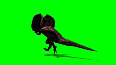 伞蜥蜴逃跑绿屏特效抠像视频素材