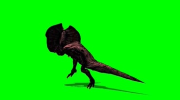 伞蜥蜴逃跑绿屏特效抠像视频素材