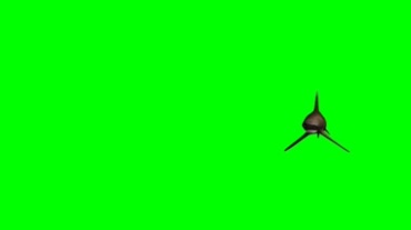 大鲨鱼游弋绿幕视频素材