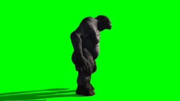 黑金刚猩猩绿屏抠像特效视频素材