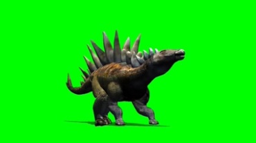 白垩纪剑龙恐龙绿屏背景抠像透明特效视频素材