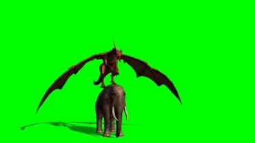 神兽立在大象上的绿幕视频素材