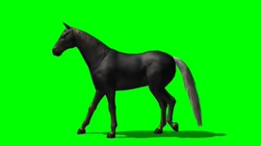 汗血宝马健美体形绿幕背景透明抠像特效视频素材