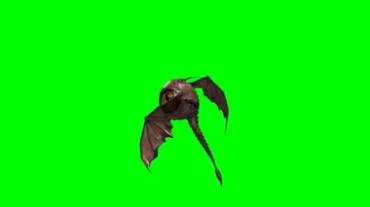 长翅膀的飞翔小兽绿屏抠像特效视频素材