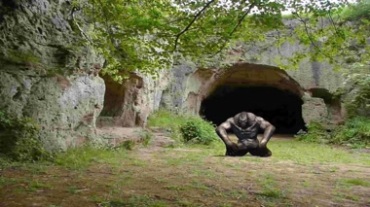 黑金刚黑猩猩山洞高清视频素材