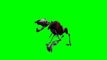 动物骷髅骨架运动状态绿屏抠像特效视频素材