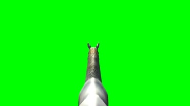 白马马背视角绿幕抠像特效视频素材