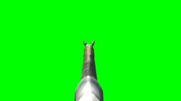 白马马背视角绿幕抠像特效视频素材