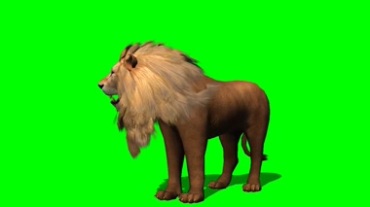 狮子雄狮透明抠像绿幕背景特效视频素材