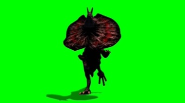 伞蜥蜴斗篷蜥逃跑绿幕背景抠图特效视频素材