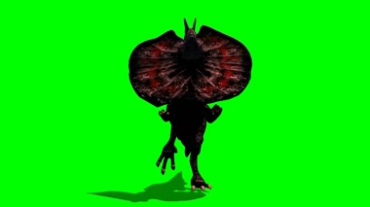 伞蜥蜴斗篷蜥逃跑绿幕背景抠图特效视频素材
