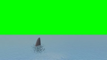 鲨鱼鱼鳍露出水面绿屏特效视频素材
