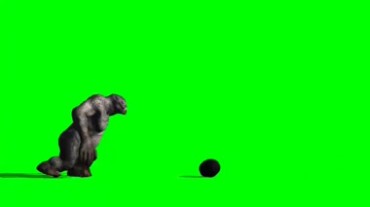 猩猩踢球绿屏抠像特效视频素材