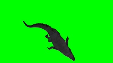 鳄鱼游泳动作绿屏抠像特效视频素材