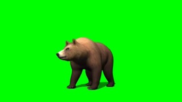 狗熊灰熊挠人动作绿幕抠像视频素材