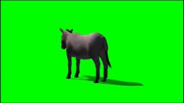 小毛驴绿屏背景透明抠像特效视频素材