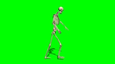 骷髅人骨架走路绿屏透明抠像特效视频素材