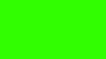 蓝色枝条生长字幕条绿屏抠像视频素材