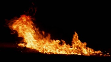 着火大火蔓延燃烧mov视频素材