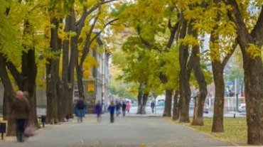 行道树人行道上匆匆行走的人流快节奏摄像视频素材