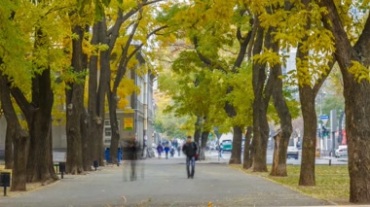 行道树人行道上匆匆行走的人流快节奏摄像视频素材