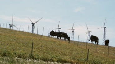 西北风力发电风电