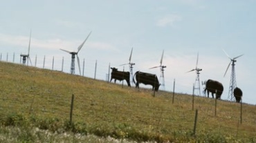西北风力发电风电