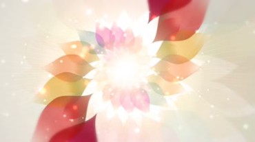 花瓣绚丽旋转无缝循环特效视频素材