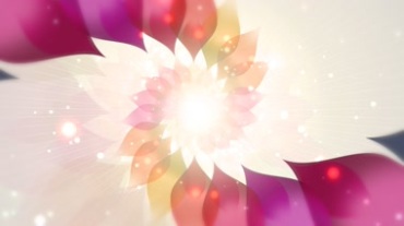 花瓣绚丽旋转无缝循环特效视频素材