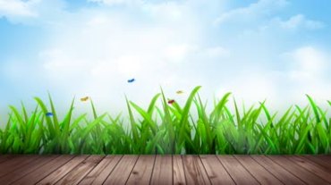 公园木地板绿草蝴蝶飞舞美丽风景视频素材