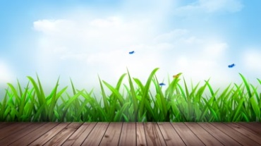 公园木地板绿草蝴蝶飞舞美丽风景视频素材