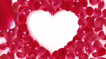 玫瑰花瓣组成的心形，象征爱情的玫瑰心视频素材